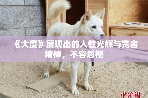 《大度》展现出的人性光辉与宽容精神，不容忽视