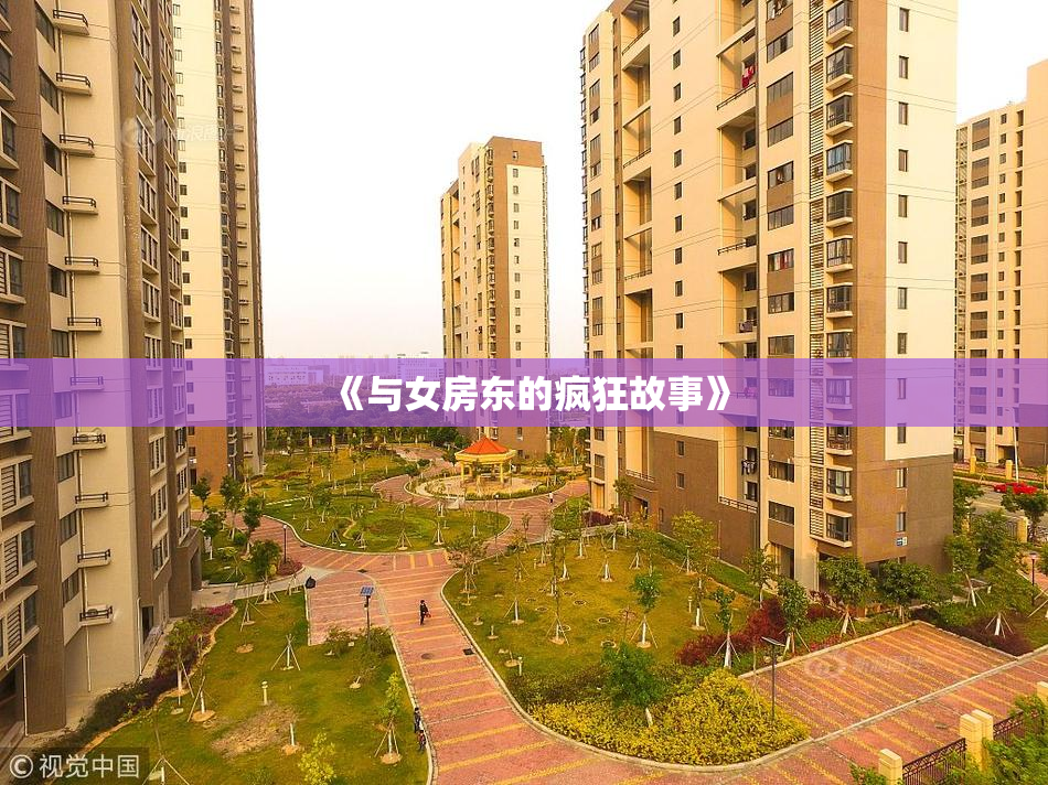 《与女房东的疯狂故事》