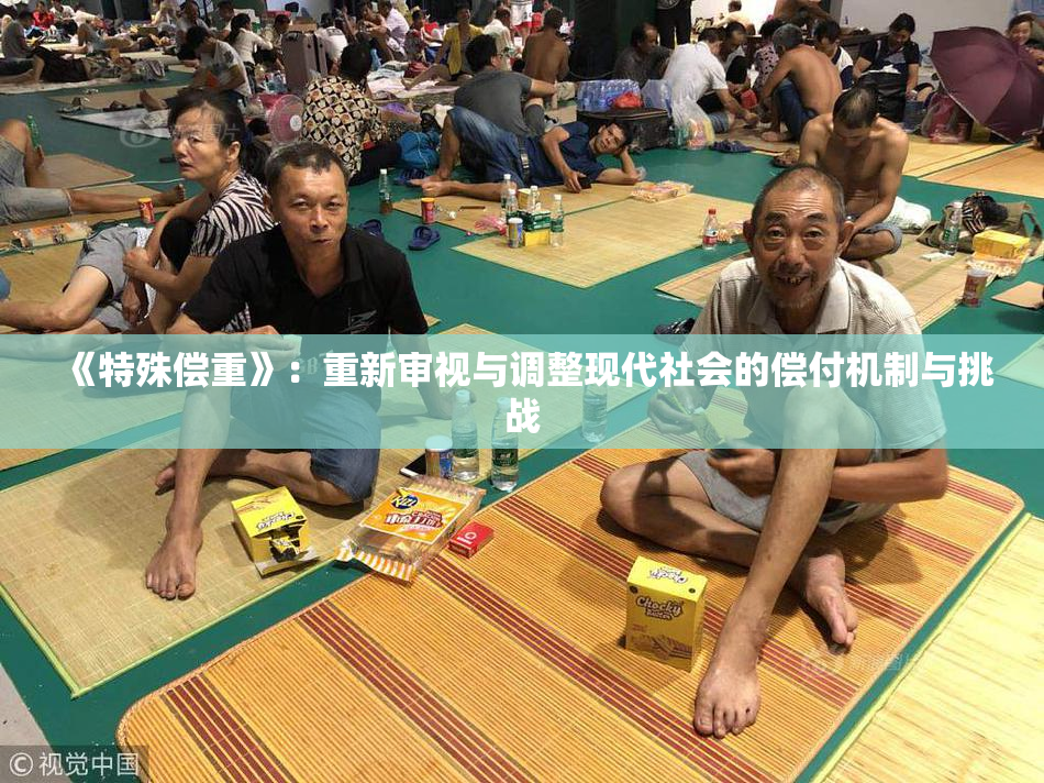 《特殊偿重》：重新审视与调整现代社会的偿付机制与挑战