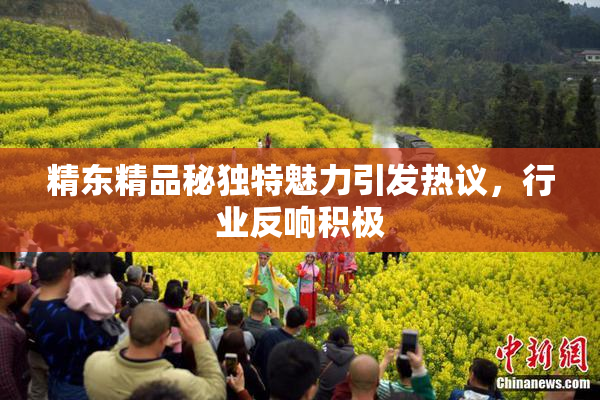 精东精品秘独特魅力引发热议，行业反响积极