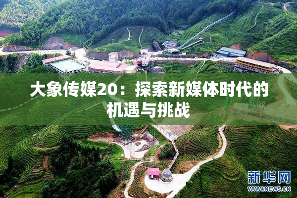 大象传媒20：探索新媒体时代的机遇与挑战