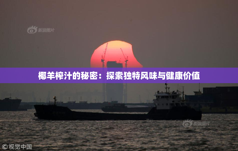 椰羊榨汁的秘密：探索独特风味与健康价值