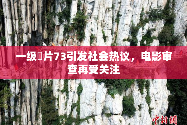一级婬片73引发社会热议，电影审查再受关注
