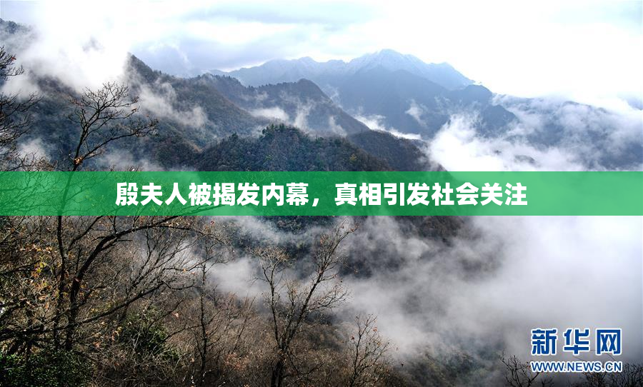 殷夫人被揭发内幕，真相引发社会关注