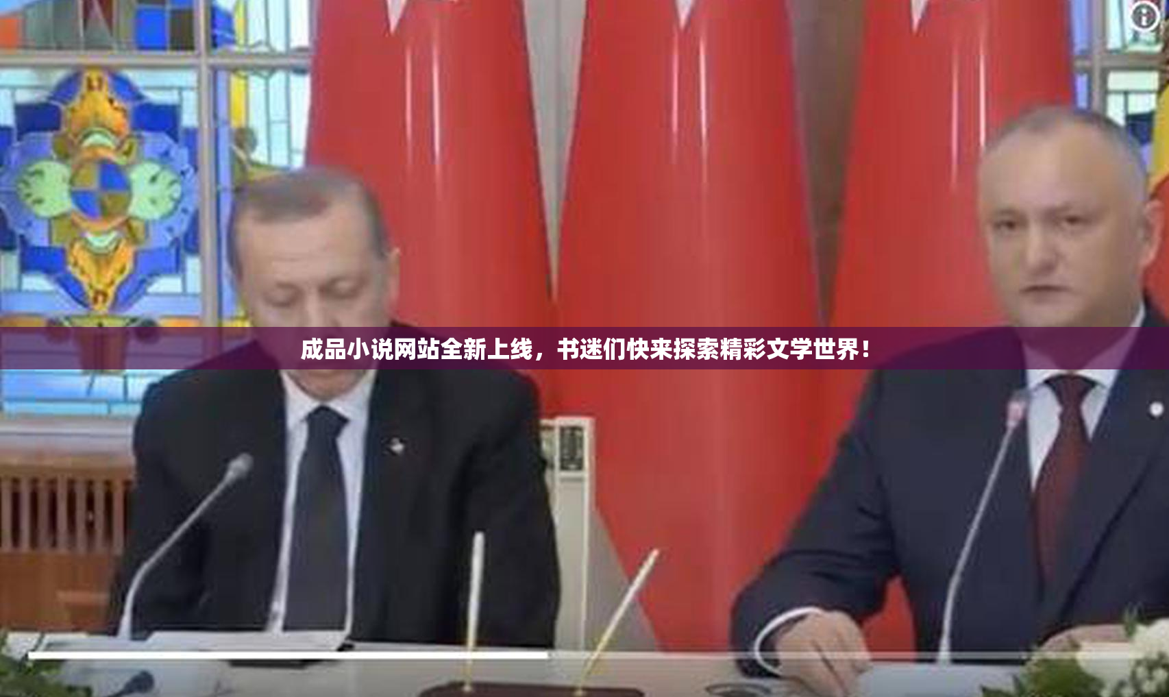 成品小说网站全新上线，书迷们快来探索精彩文学世界！