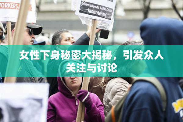 女性下身秘密大揭秘，引发众人关注与讨论