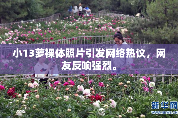小13萝裸体照片引发网络热议，网友反响强烈。