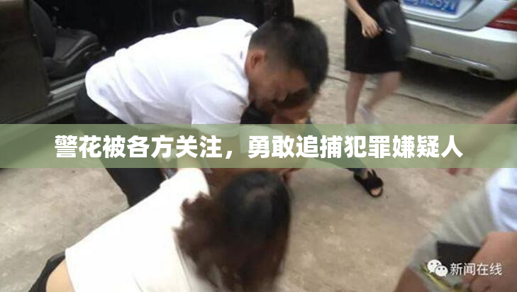 警花被各方关注，勇敢追捕犯罪嫌疑人