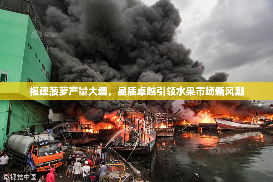 福建菠萝产量大增，品质卓越引领水果市场新风潮
