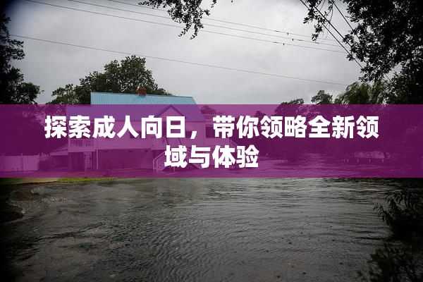 探索成人向日，带你领略全新领域与体验