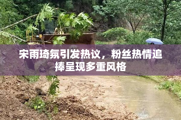 宋雨琦氛引发热议，粉丝热情追捧呈现多重风格