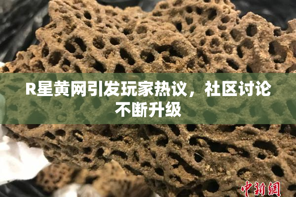 R星黄网引发玩家热议，社区讨论不断升级
