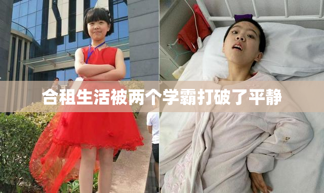 合租生活被两个学霸打破了平静