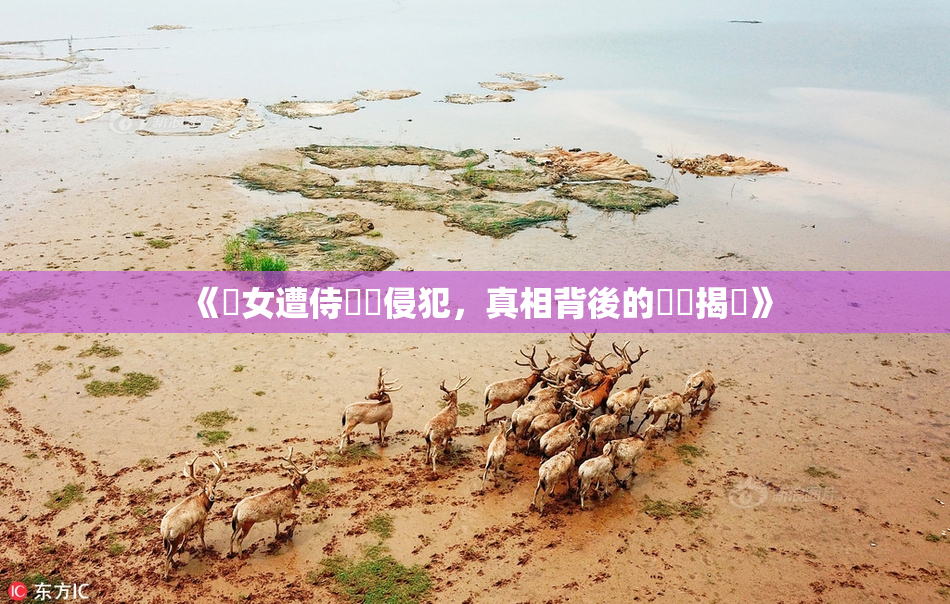 《聖女遭侍衛倫侵犯，真相背後的陰謀揭曉》