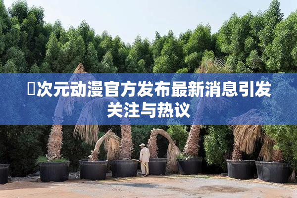囧次元动漫官方发布最新消息引发关注与热议