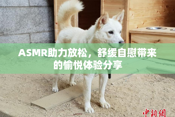 ASMR助力放松，舒缓自慰带来的愉悦体验分享