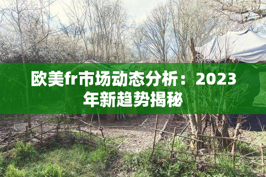 欧美fr市场动态分析：2023年新趋势揭秘