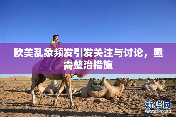 欧美乱象频发引发关注与讨论，亟需整治措施