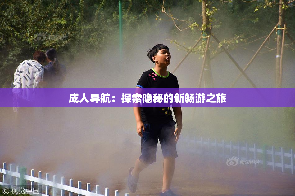 成人导航：探索隐秘的新畅游之旅