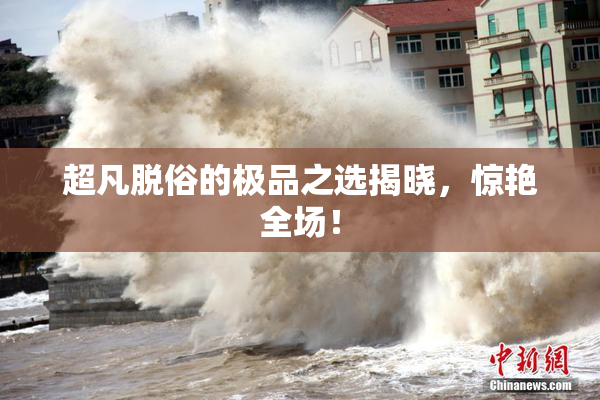 超凡脱俗的极品之选揭晓，惊艳全场！