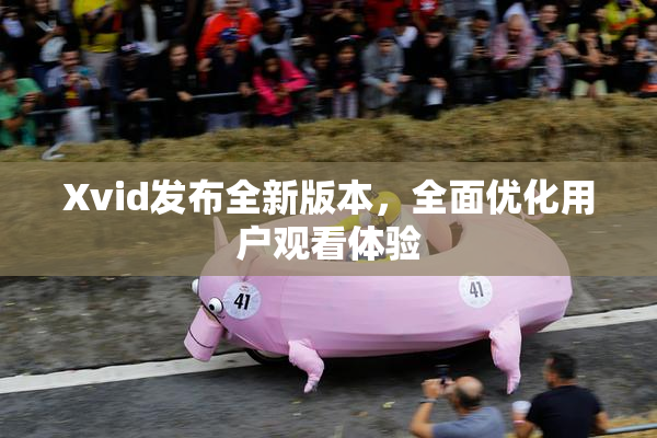 Xvid发布全新版本，全面优化用户观看体验