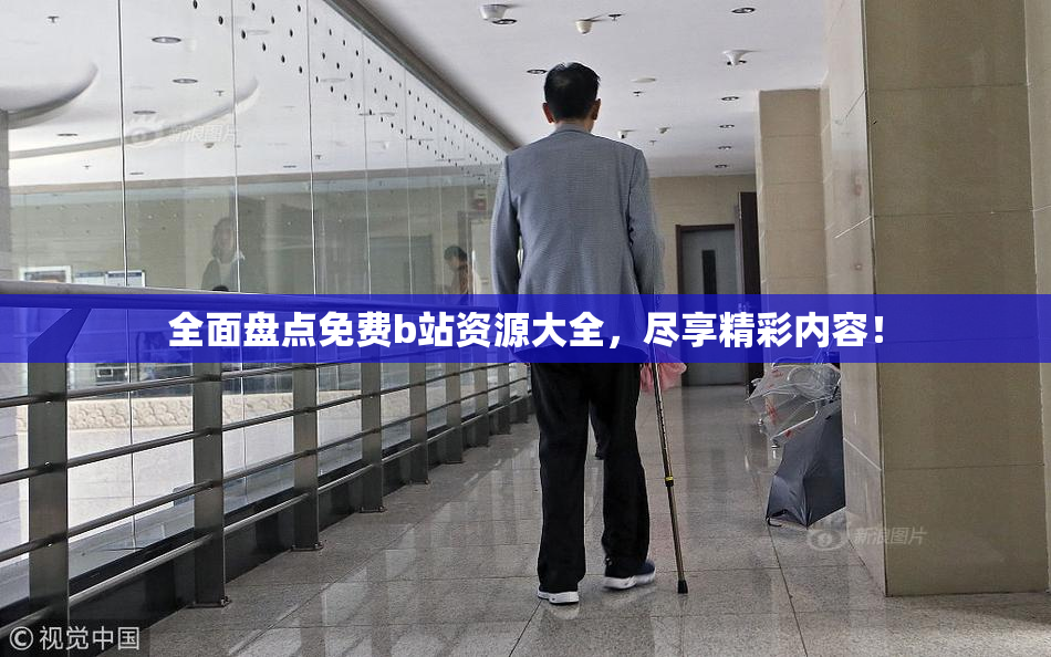 全面盘点免费b站资源大全，尽享精彩内容！