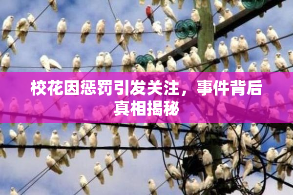 校花因惩罚引发关注，事件背后真相揭秘