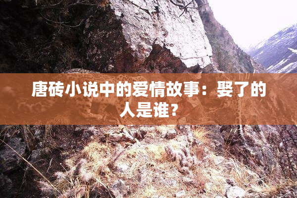 唐砖小说中的爱情故事：娶了的人是谁？