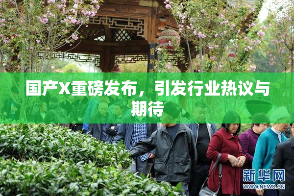 国产X重磅发布，引发行业热议与期待