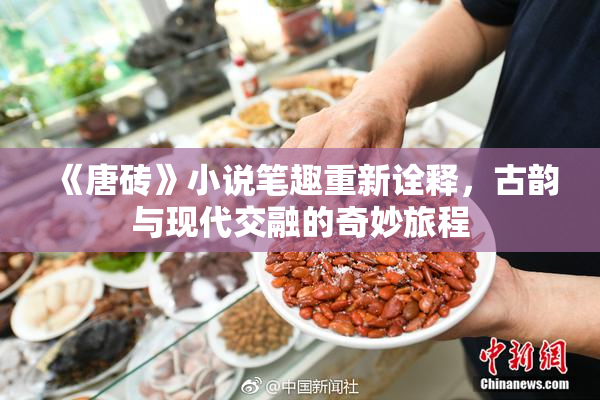 《唐砖》小说笔趣重新诠释，古韵与现代交融的奇妙旅程
