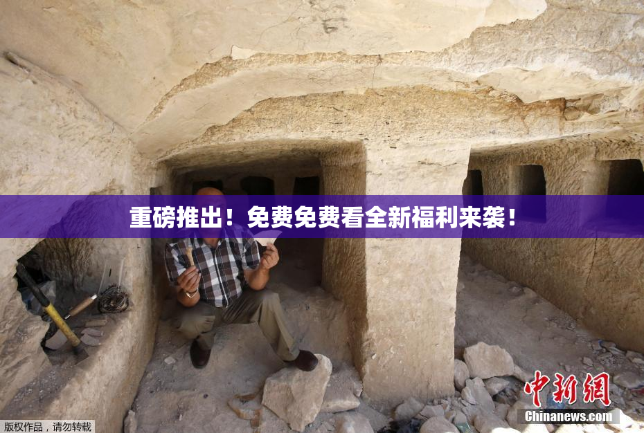 重磅推出！免费免费看全新福利来袭！