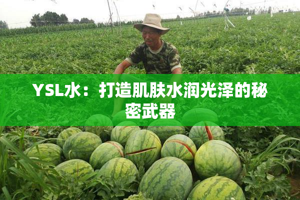 YSL水：打造肌肤水润光泽的秘密武器