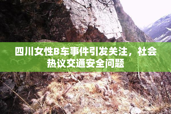 四川女性B车事件引发关注，社会热议交通安全问题
