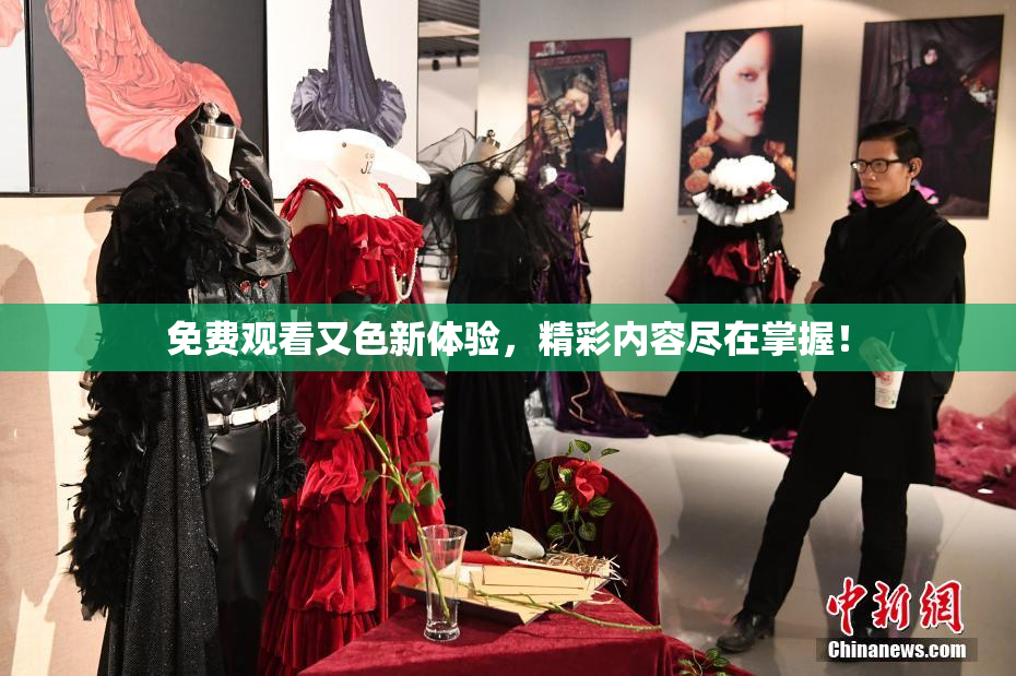 免费观看又色新体验，精彩内容尽在掌握！