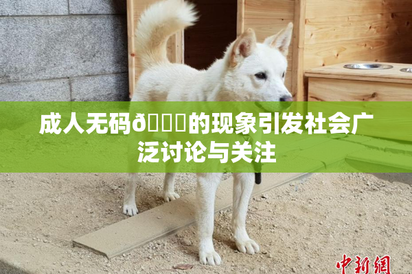 成人无码🔞的现象引发社会广泛讨论与关注