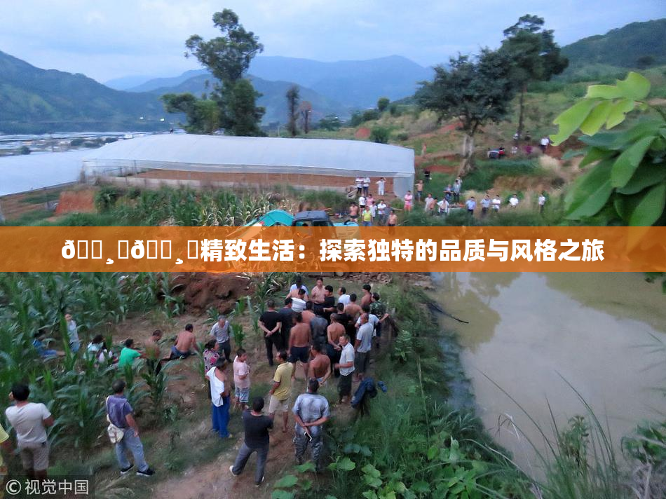 🌸‌🌸‌精致生活：探索独特的品质与风格之旅