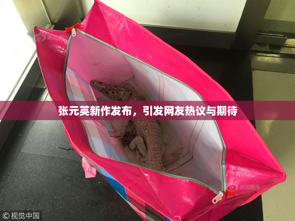 张元英新作发布，引发网友热议与期待