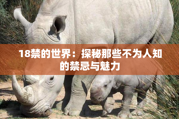 18禁的世界：探秘那些不为人知的禁忌与魅力