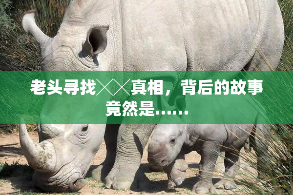 老头寻找╳╳真相，背后的故事竟然是……