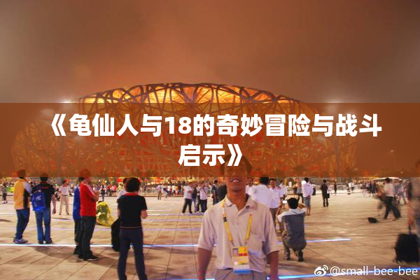 《龟仙人与18的奇妙冒险与战斗启示》