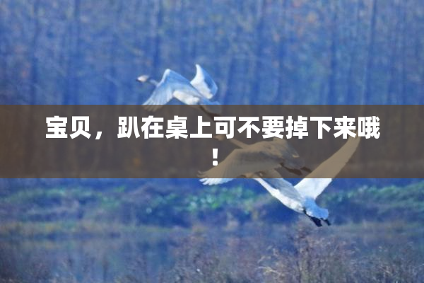 宝贝，趴在桌上可不要掉下来哦！