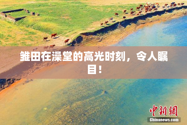 雏田在澡堂的高光时刻，令人瞩目！