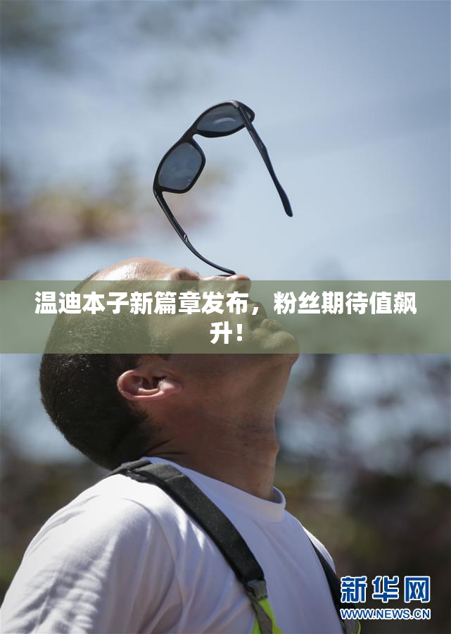 温迪本子新篇章发布，粉丝期待值飙升！