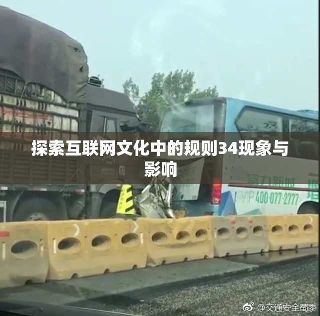 探索互联网文化中的规则34现象与影响