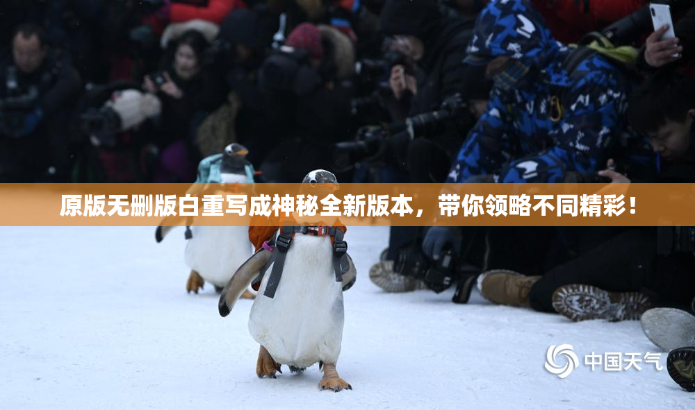 原版无删版白重写成神秘全新版本，带你领略不同精彩！
