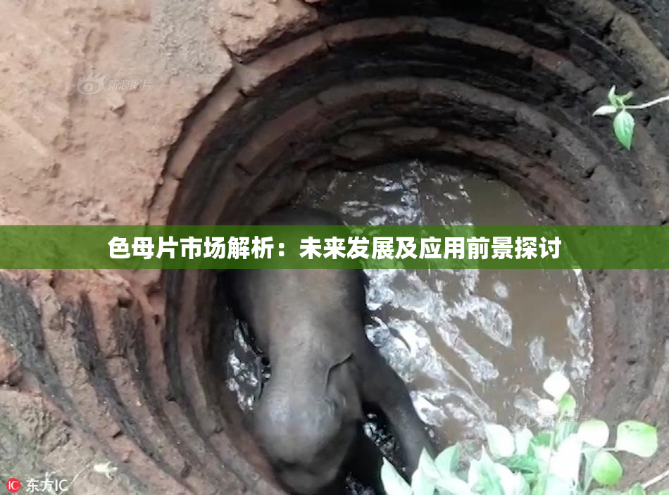 色母片市场解析：未来发展及应用前景探讨