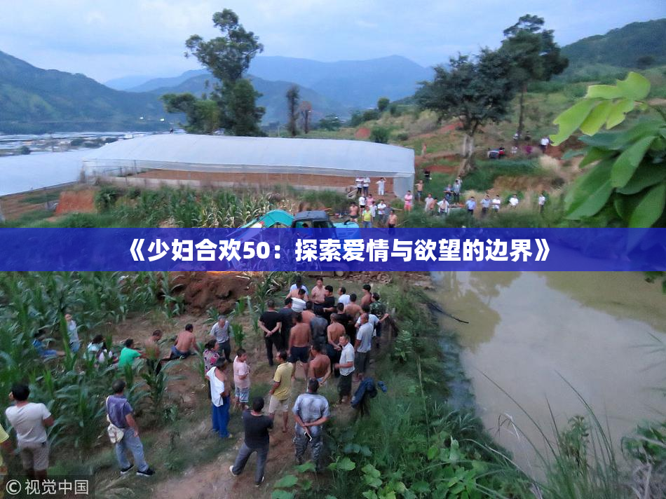 《少妇合欢50：探索爱情与欲望的边界》
