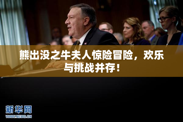 熊出没之牛夫人惊险冒险，欢乐与挑战并存！
