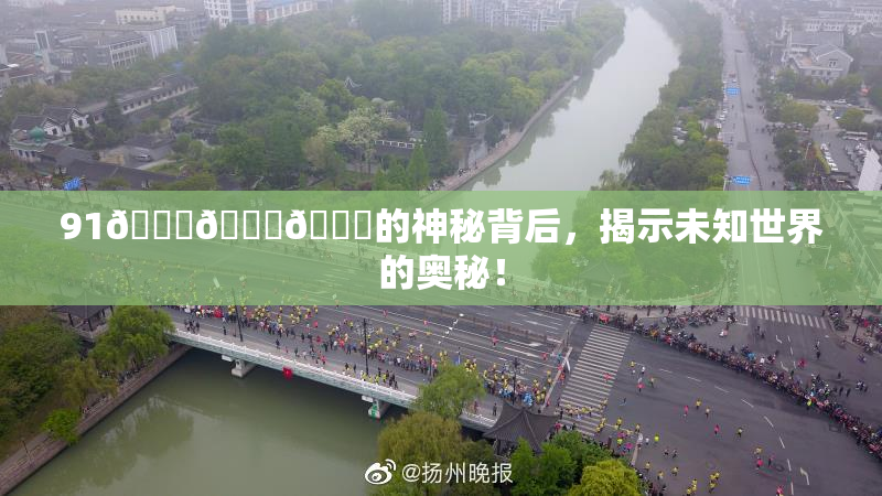 91🍆🍑🔞的神秘背后，揭示未知世界的奥秘！