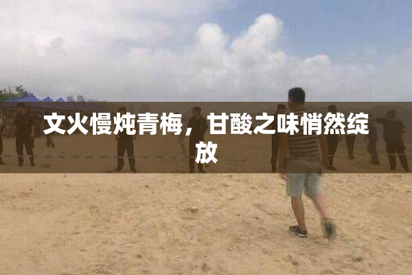 文火慢炖青梅，甘酸之味悄然绽放